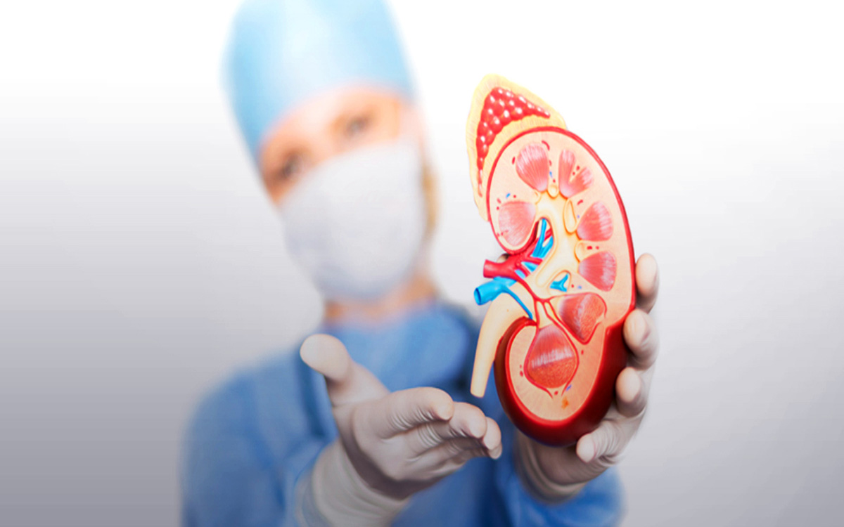 NEPHROLOGY
