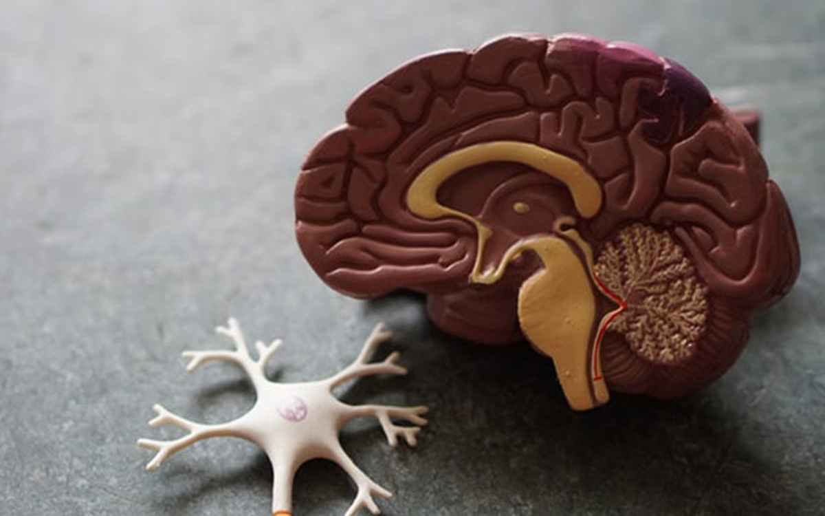 NEUROLOGY